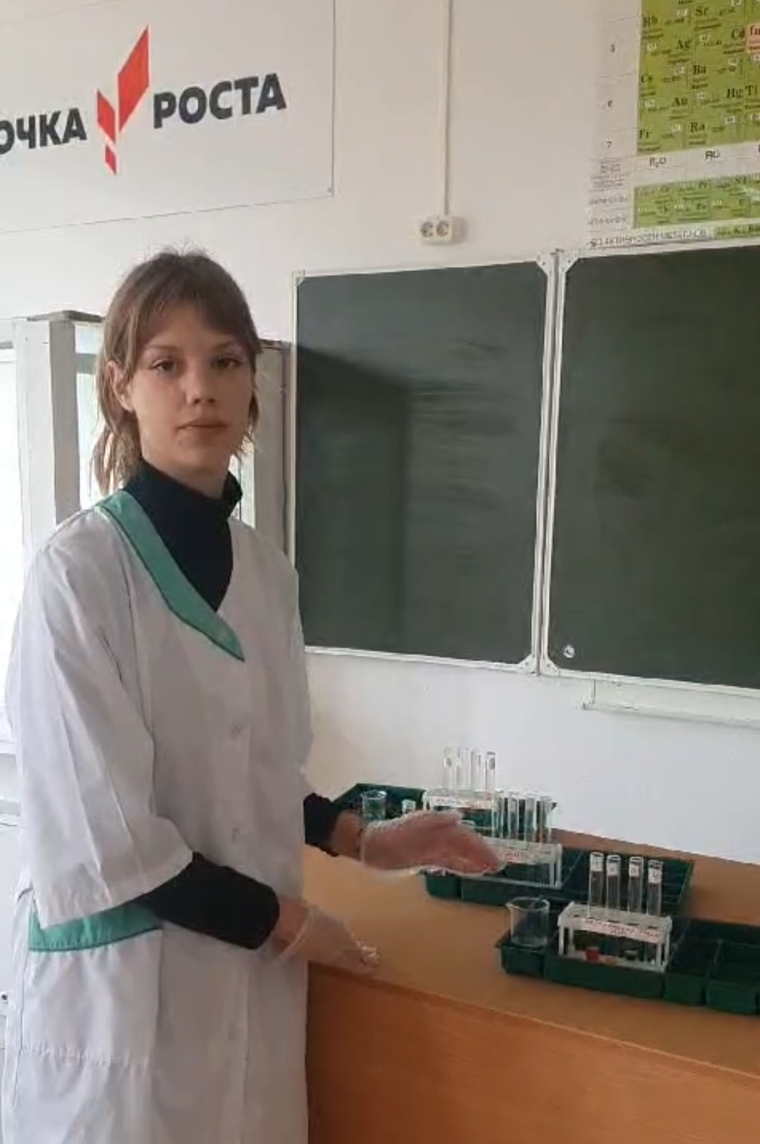 Проект «Утилизация мусора. Мусорная цивилизация».
